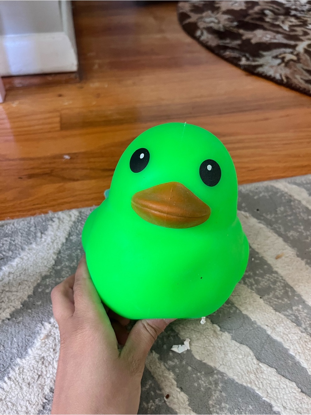 New with tags TikTok viral sunny days squishy duck